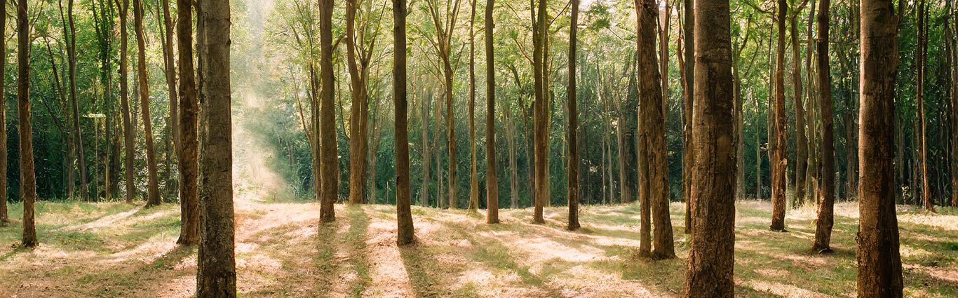 Erholung in der Natur